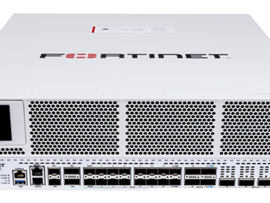 FortiGate 3800G